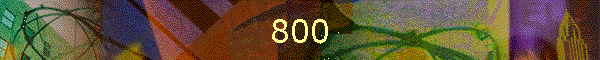 800